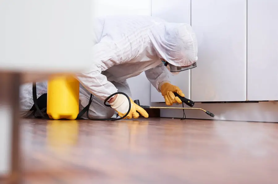 Derattizzazione e Disinfestazione Zucchet