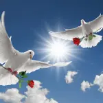 Onoranze funebri prezzi