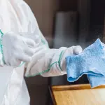 Allontanamento dei piccioni Roma