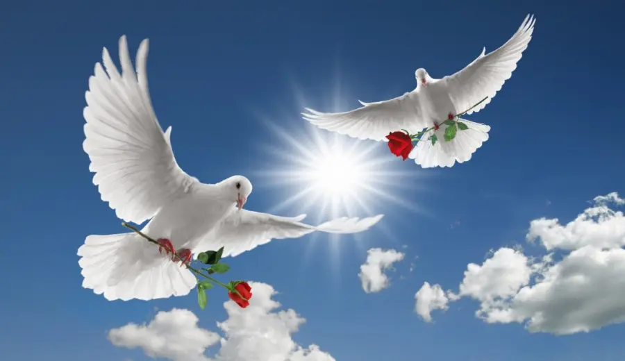 Onoranze Funebri e ornamenti Milano