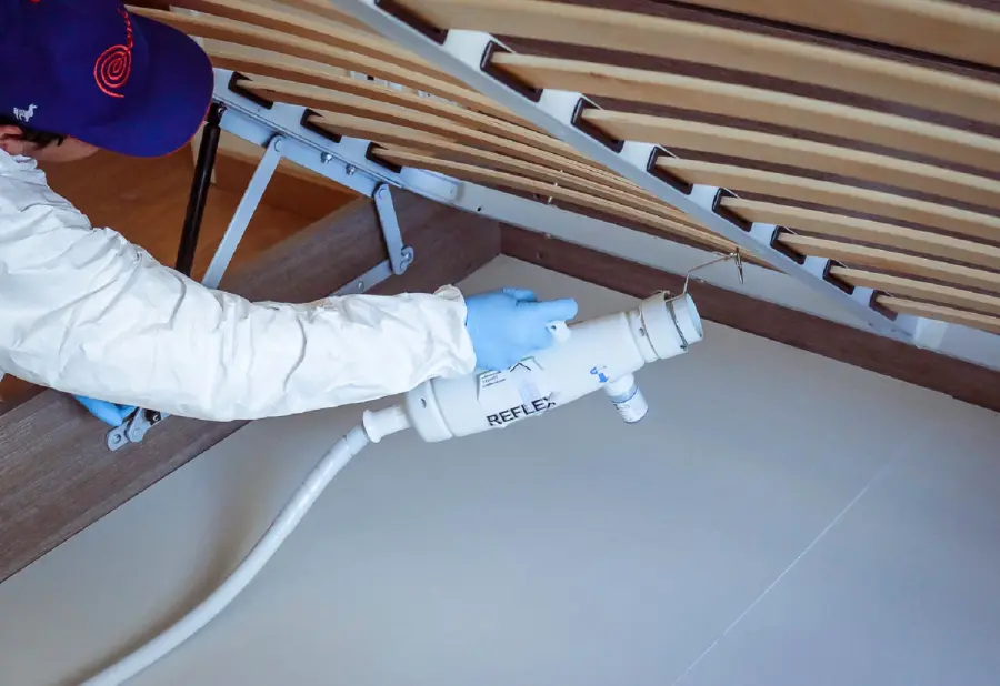 Cimici da letto nel materasso