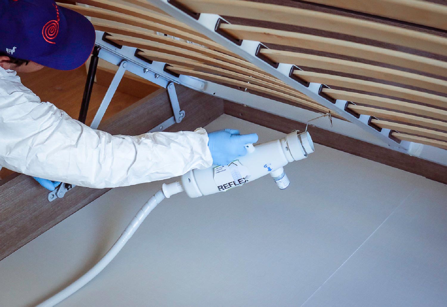 Cimici da letto nel materasso