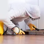 Disinfestazione Milano