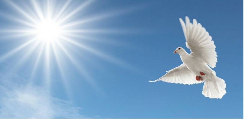 Onoranze Funebri Roma