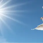 Onoranze Funebri Roma